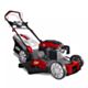 Muruniiduk Dedra DED8725Q-56L 56cm, vedav